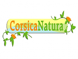 Wifi : Logo Camping Corsica Natura