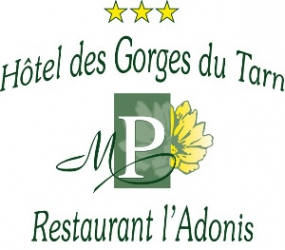 Wifi : Logo Hôtel des Gorges du Tarn