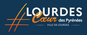 Wifi : Logo Maison France Service