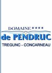 Wifi : Logo Domaine de Pendruc