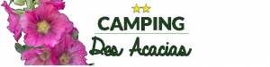 Wifi : Logo Camping des Acacias