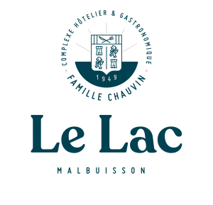 Wifi : Logo Hotel le Lac