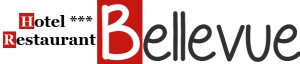 Wifi : Logo Le Bellevue