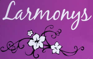 Wifi : Logo Gîte de Larmonys