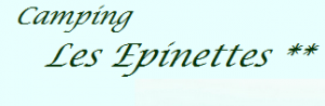 Wifi : Logo Camping les Epinettes