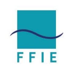 Wifi : Logo Ffie